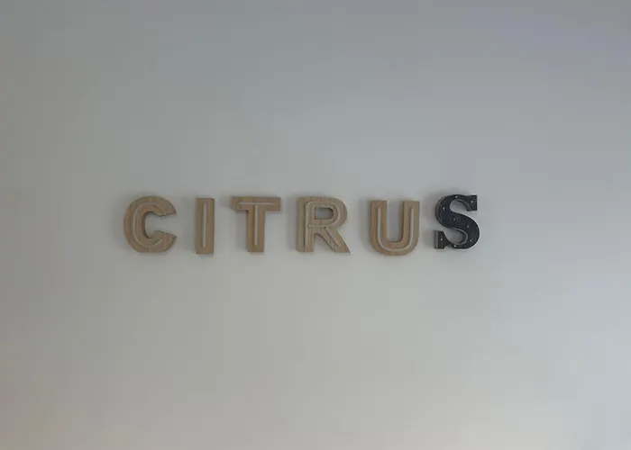 Citrus Suite By Alhaurin Loft City Center