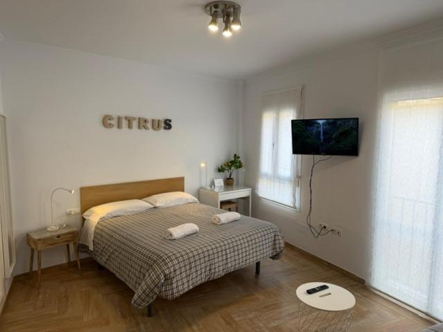 Citrus By Alhaurin Loft Center Apartment